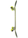 Globe G1 Nature Walk 8.125″ Skateboard Completo