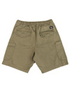 REELL Reflex Easy Cargo Korte Broek