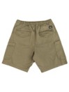 REELL Reflex Easy Cargo Korte Broek