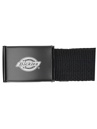 Dickies Orcutt Belt