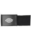 Dickies Orcutt Webbing Gürtel