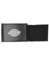 Dickies Orcutt Webbing Belt