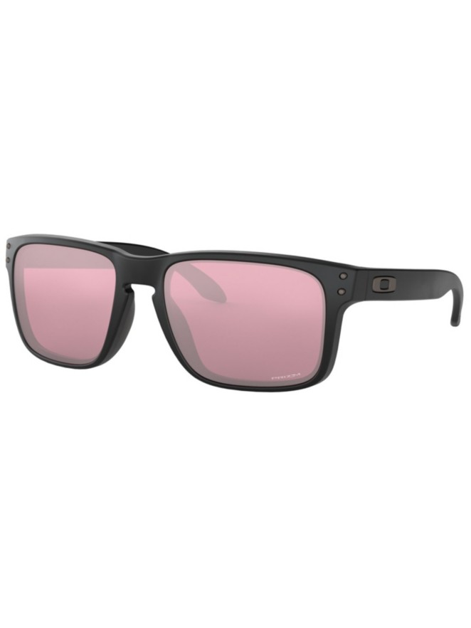 Oakley Holbrook Matte Black