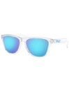 Oakley Frogskins XS Polished Clear Solbriller