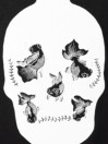 Temple of Skate Fish Bowl T-Shirt