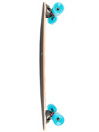 Long Island Longboards Lei 32.75″ Mini Pintail Skateboard