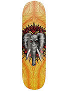 Vallely Elephant Birch 8.0&amp;#034; T&aacute;bua de Skate