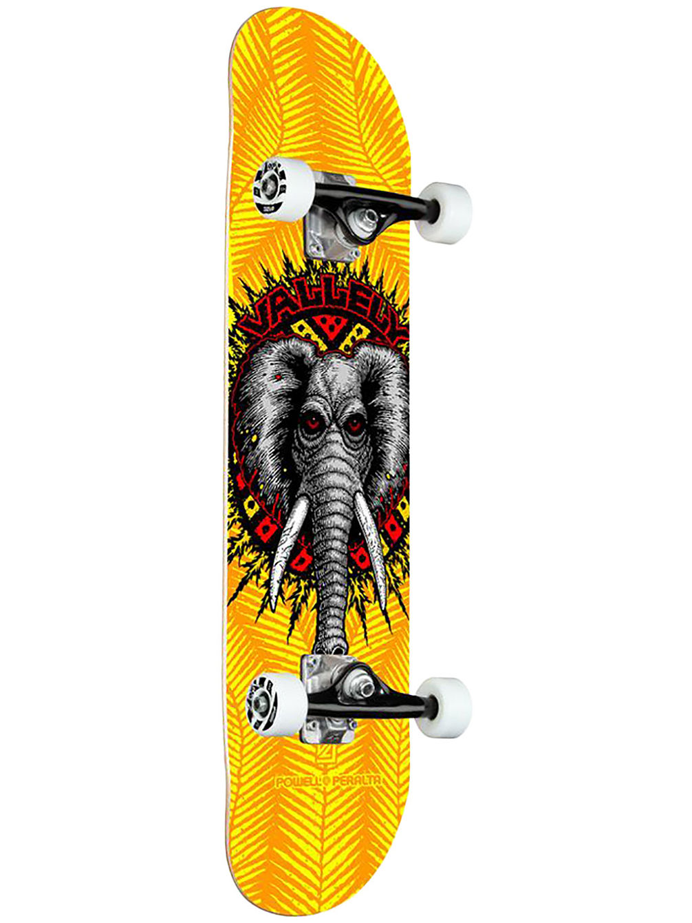 Vallely Elephant Birch 8.0&amp;#034; Skate Completo