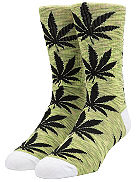 Plantlife Melange Socken