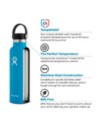 Hydro Flask 21Oz Standard Flex Cap Bottle