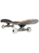 Standard Black Carpet 7.75&amp;#034; Skateboard Completo
