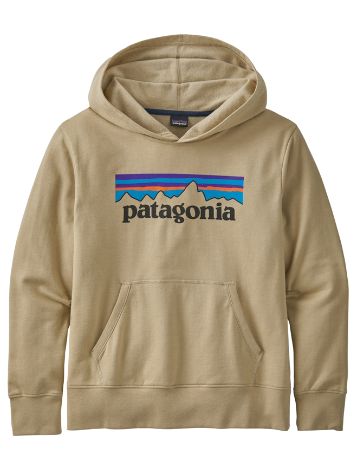 Patagonia LW Graphic Hoodie