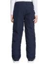 Quiksilver Boundry Kids Kalhoty