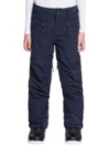 Quiksilver Boundry Kids Kalhoty