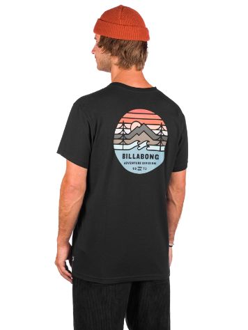 Billabong Twin Pines Po Pullover Hoody