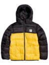 Element Alder Avalanche Puffer Jacke