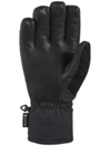 Dakine Leather Titan Gore-Tex Short Rukavice