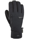 Dakine Leather Titan Gore-Tex Short Rukavice