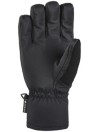 Dakine Titan Gore-Tex Short Handschuhe