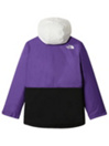 THE NORTH FACE Freedom Insulated Takki