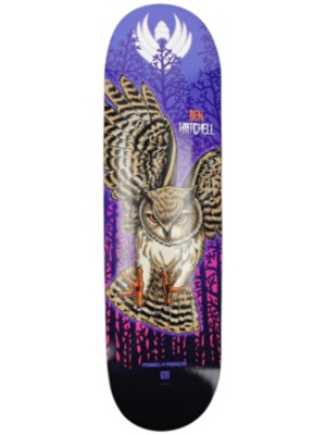 Ben hatchell owl clearance