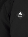 Burton Gore-Tex Kaylo Jacket