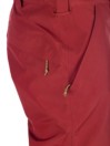 Burton ak Gore-Tex Cyclic Pantaloni