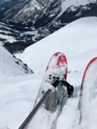 BCA Scepter Skistöcke