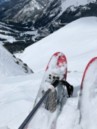 BCA Scepter Skistöcke