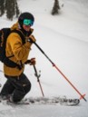 BCA Scepter Alu Skistöcke