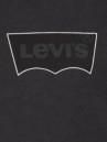 Levi's Skate Graphic T-Shirt