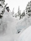 Gnu Billy Goat 164W Snowboard