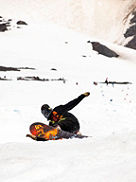 Skunk Ape 169 Snowboard