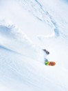 Lib Tech Travis Rice Goldmember 159 2021 Snowboard