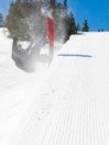 YES Greats Uninc 151 Snowboard