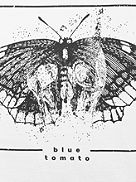 Moth Prophecy Camiseta