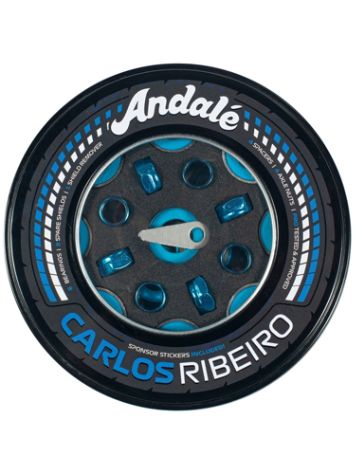 Andale Bearings Carlos Ribeiro Pro Rodamientos