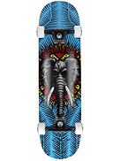 Vallely Elephant Birch 8.0&amp;#034; Skate komplet