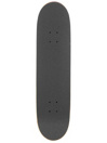 Santa Cruz Floral Decay Hand Full 8.0″ Complete