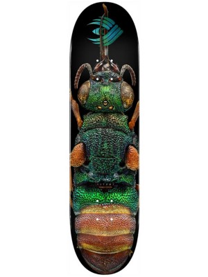 Flight deck 8.5 Clearance