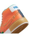 Nike Zoom Blazer Mid Edge Zapatillas de Skate