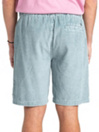 Billabong Bad Dog Shorts