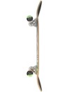 Element Eye Trippin Rainbow 8.0″ Skateboard