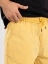 Quiksilver Taxer 17″ Kratke hlače