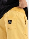 Quiksilver Taxer 17″ Kratke hlače