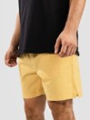 Quiksilver Taxer 17″ Kratke hlače
