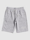 Quiksilver Easy Day Kratke hlače