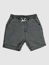 Quiksilver Taxer WS Korte broek