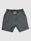 Quiksilver Taxer WS Korte broek