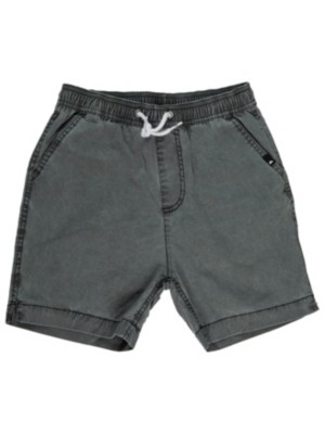 Quiksilver Taxer WS Shorts